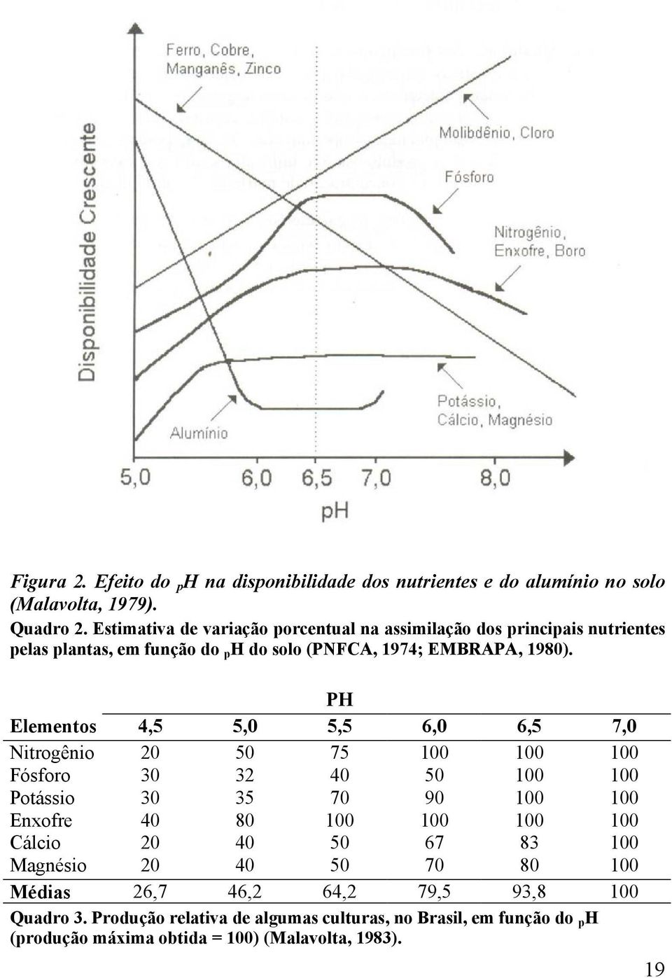 PH Elementos 4,5 5,0 5,5 6,0 6,5 7,0 Nitrogênio Fósforo Potássio Enxofre Cálcio Magnésio 20 30 30 40 20 20 50 32 35 80 40 40 75 40 70 100 50 50 100 50 90 100