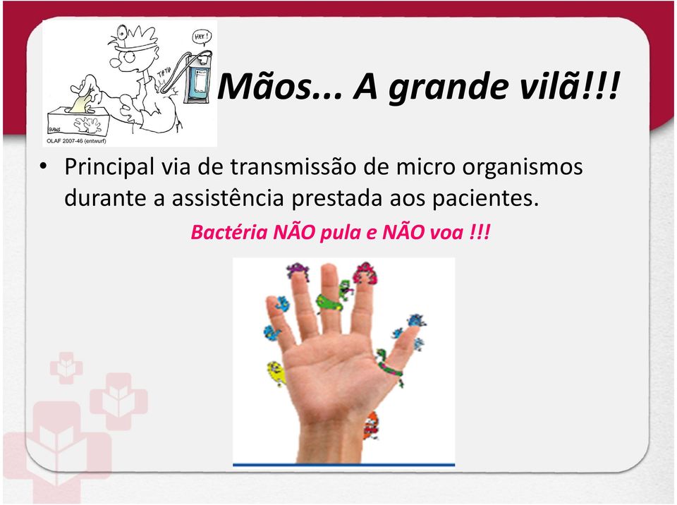 micro organismos durante a