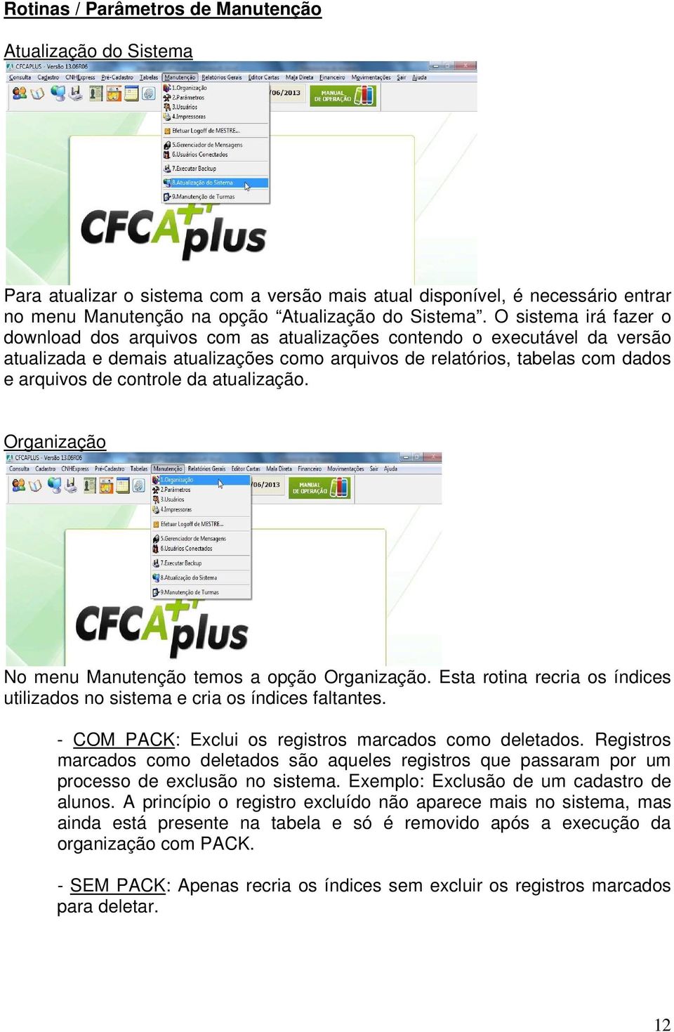 da atualização. Organização No menu Manutenção temos a opção Organização. Esta rotina recria os índices utilizados no sistema e cria os índices faltantes.