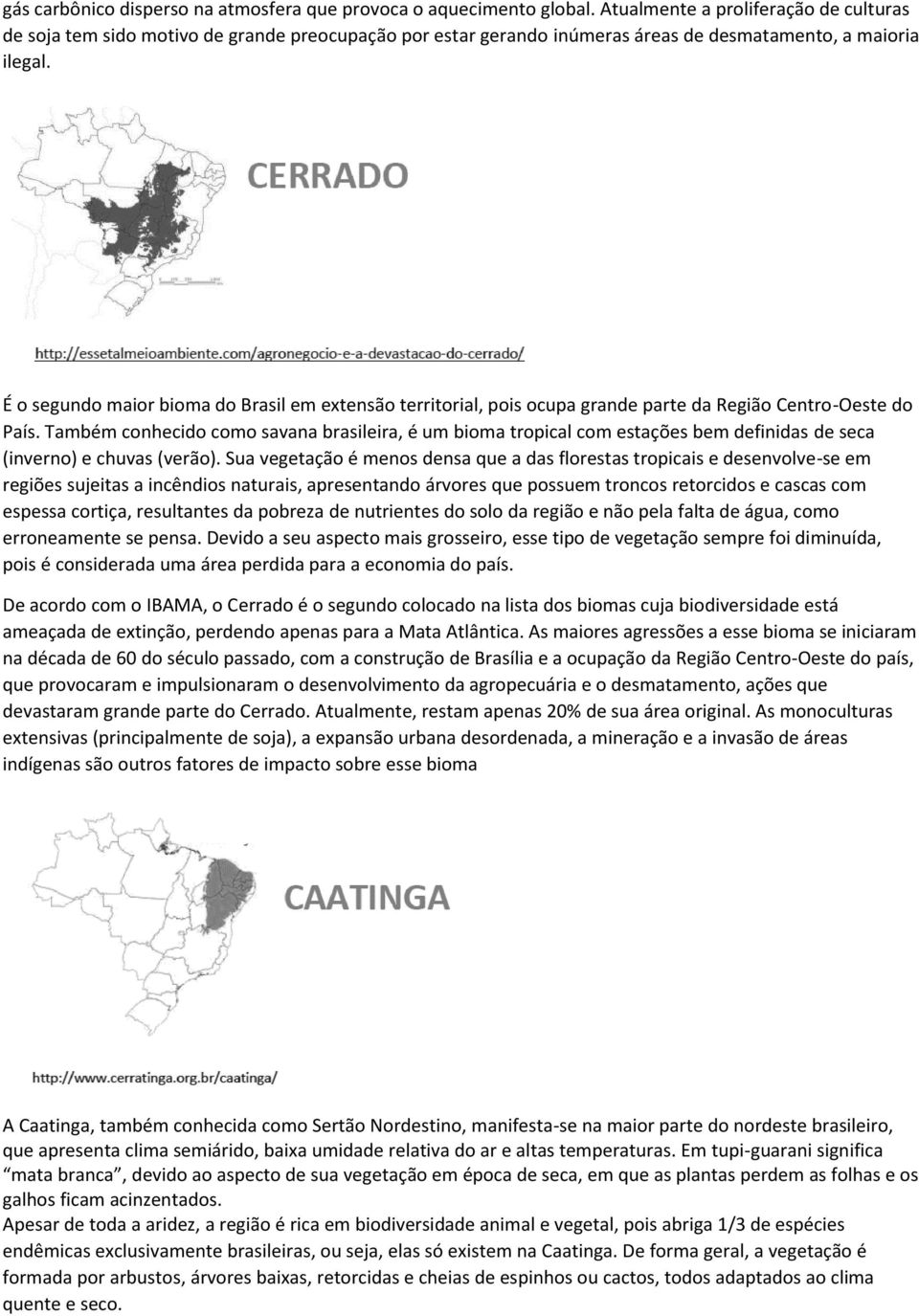 É o segundo maior bioma do Brasil em extensão territorial, pois ocupa grande parte da Região Centro-Oeste do País.