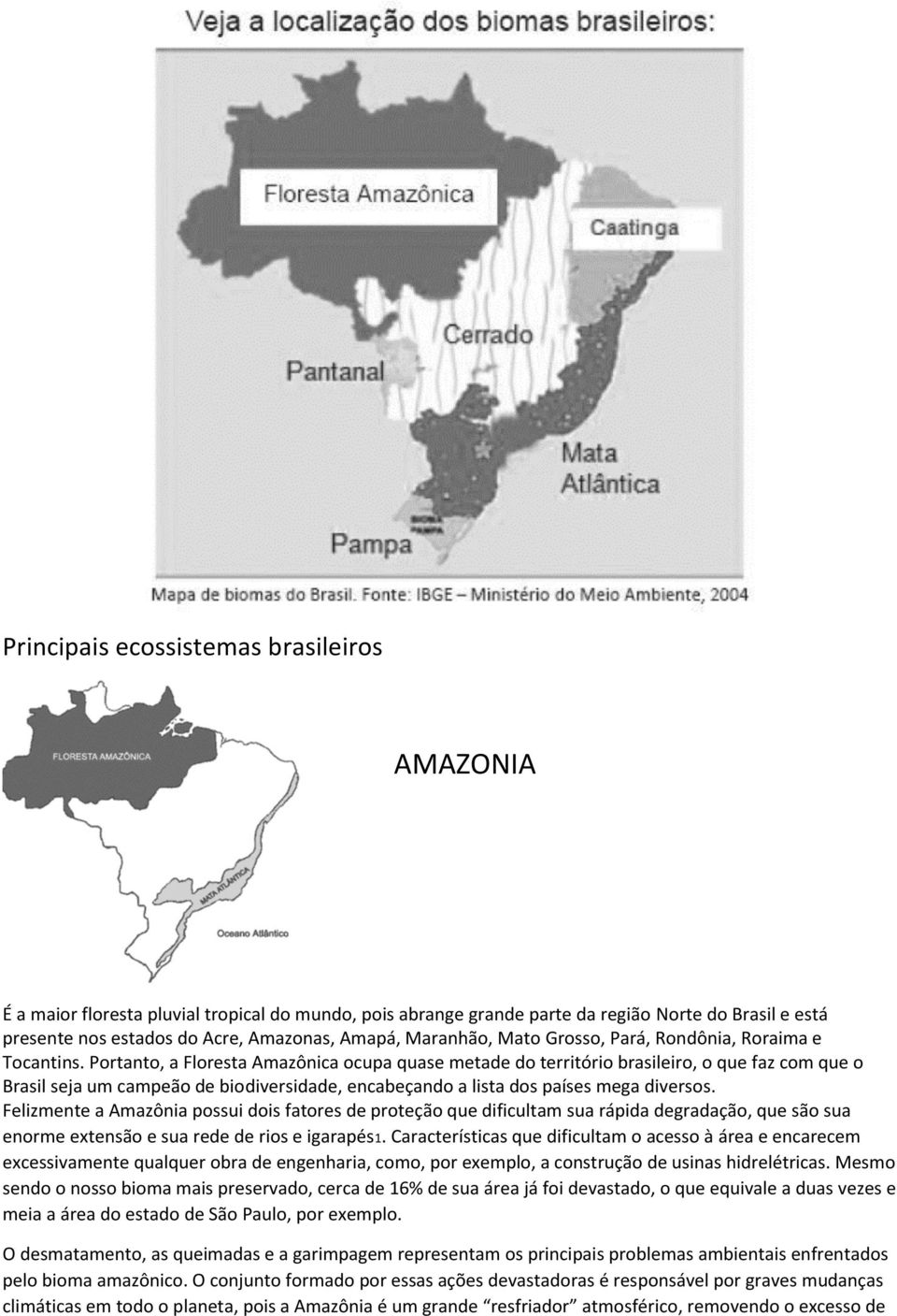 Portanto, a Floresta Amazônica ocupa quase metade do território brasileiro, o que faz com que o Brasil seja um campeão de biodiversidade, encabeçando a lista dos países mega diversos.