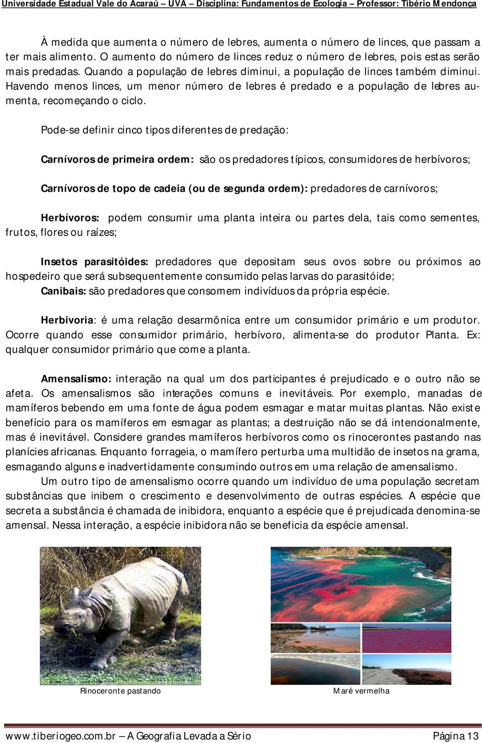 Pode-se definir cinco tipos diferentes de predação: Carnívoros de primeira ordem: são os predadores típicos, consumidores de herbívoros; Carnívoros de topo de cadeia (ou de segunda ordem): predadores