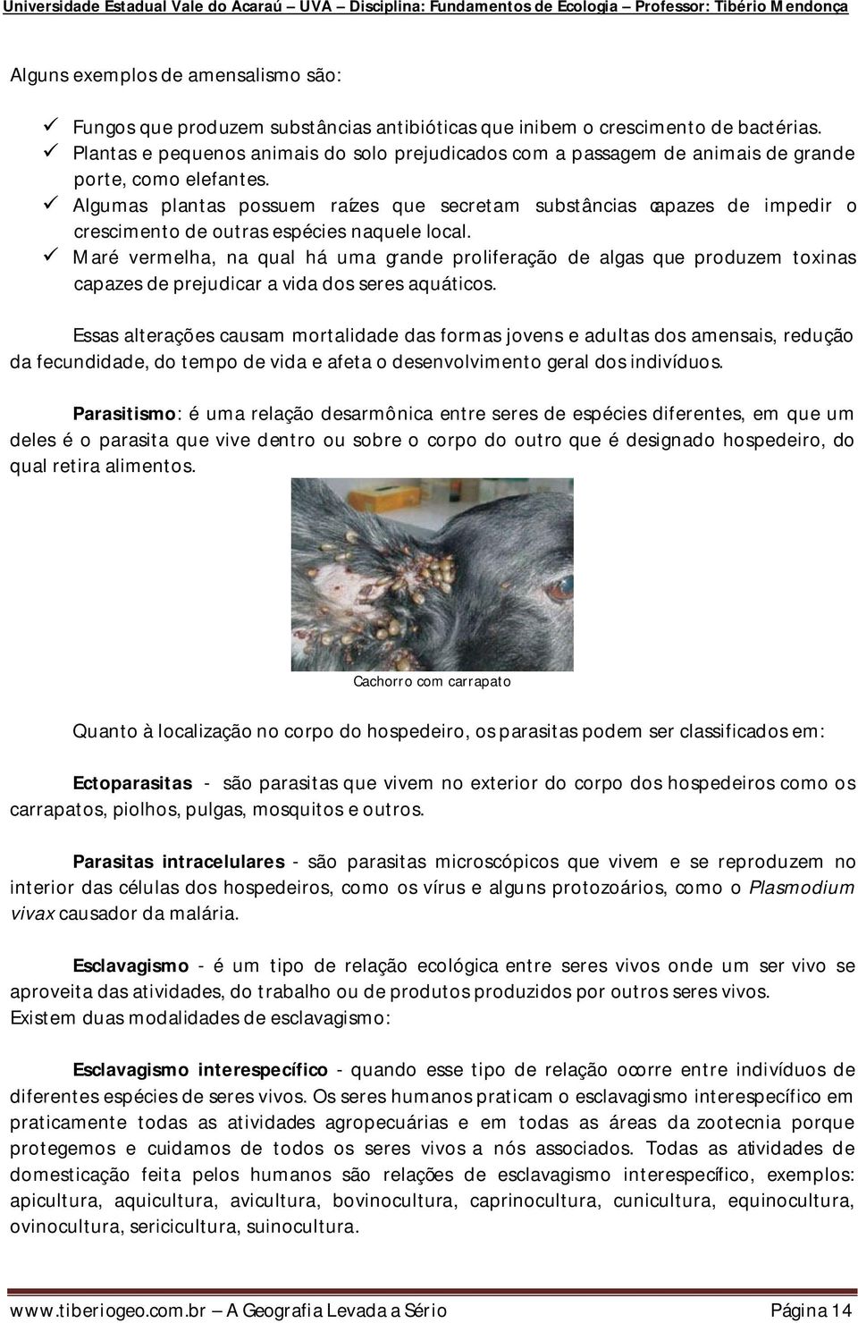 Algumas plantas possuem raízes que secretam substâncias capazes de impedir o crescimento de outras espécies naquele local.