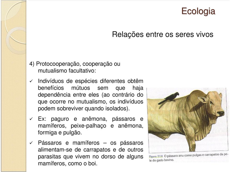 quando isolados). Ex: paguro e anêmona, pássaros e mamíferos, peixe-palhaço e anêmona, formiga e pulgão.