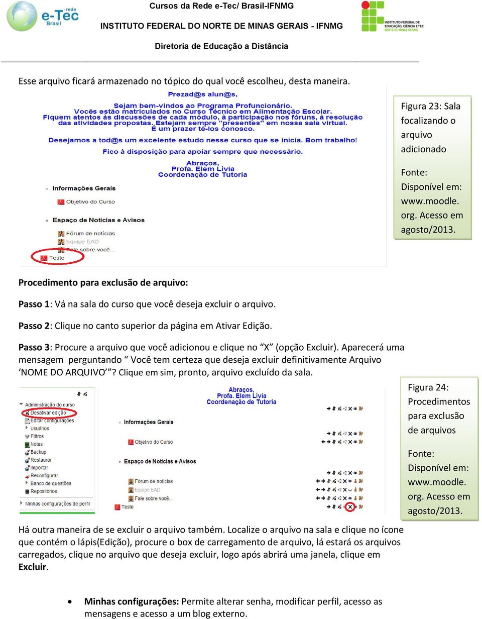 Passo 3: Procure a arquivo que você adicionou e clique no X (opção Excluir). Aparecerá uma mensagem perguntando Você tem certeza que deseja excluir definitivamente Arquivo NOME DO ARQUIVO?