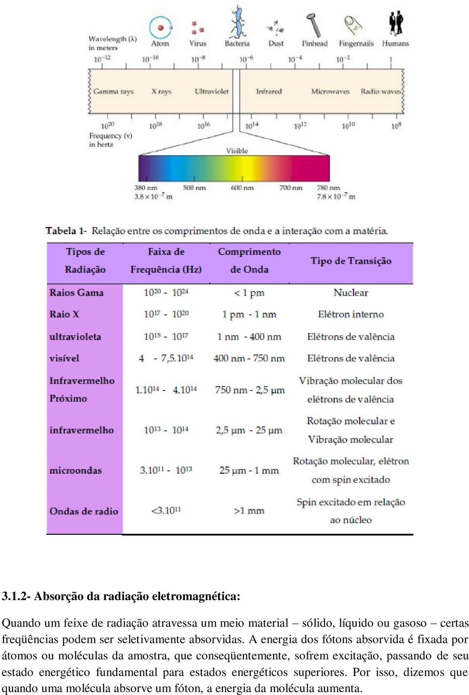 A energia dos fótons absorvida é fixada por átomos ou moléculas da amostra, que conseqüentemente, sofrem excitação,