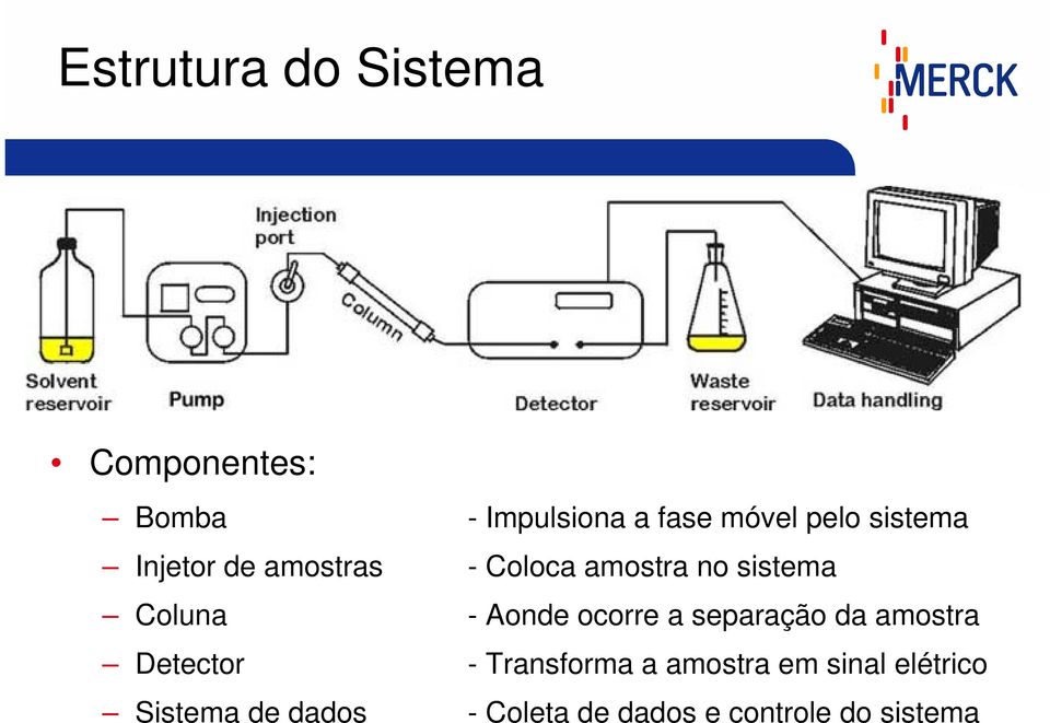 Aonde ocorre a separação da amostra Detector - Transforma a amostra