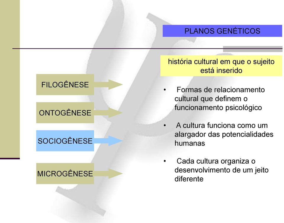 definem o funcionamento psicológico A cultura funciona como um alargador das