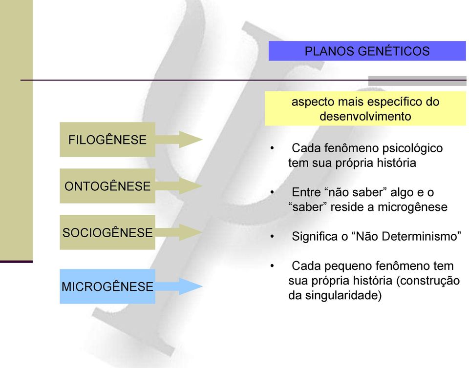 história Entre não saber algo e o saber reside a microgênese Significa o Não