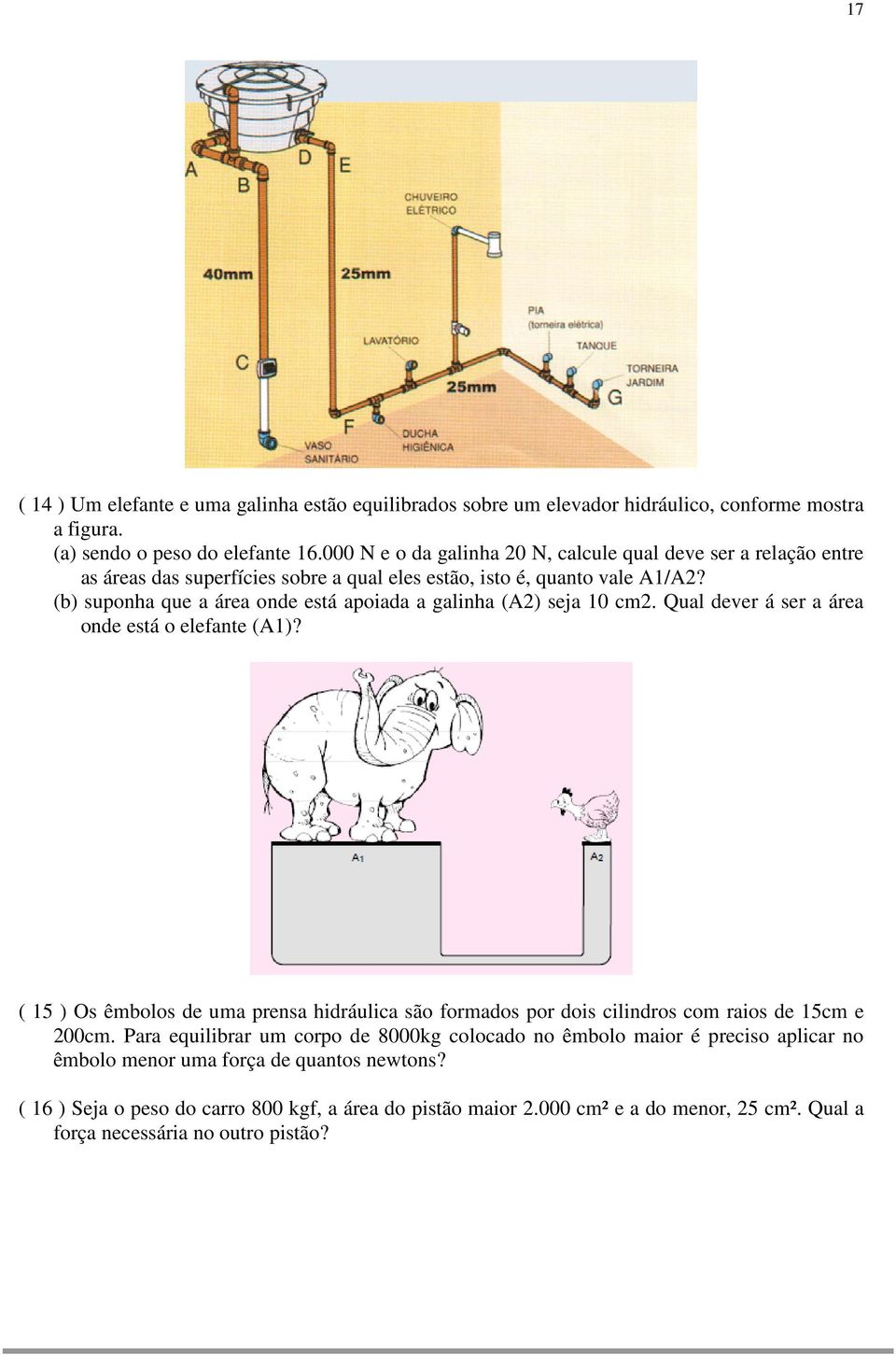 (b) suponha que a área onde está apoiada a galinha (A2) seja 10 cm2. Qual dever á ser a área onde está o elefante (A1)?