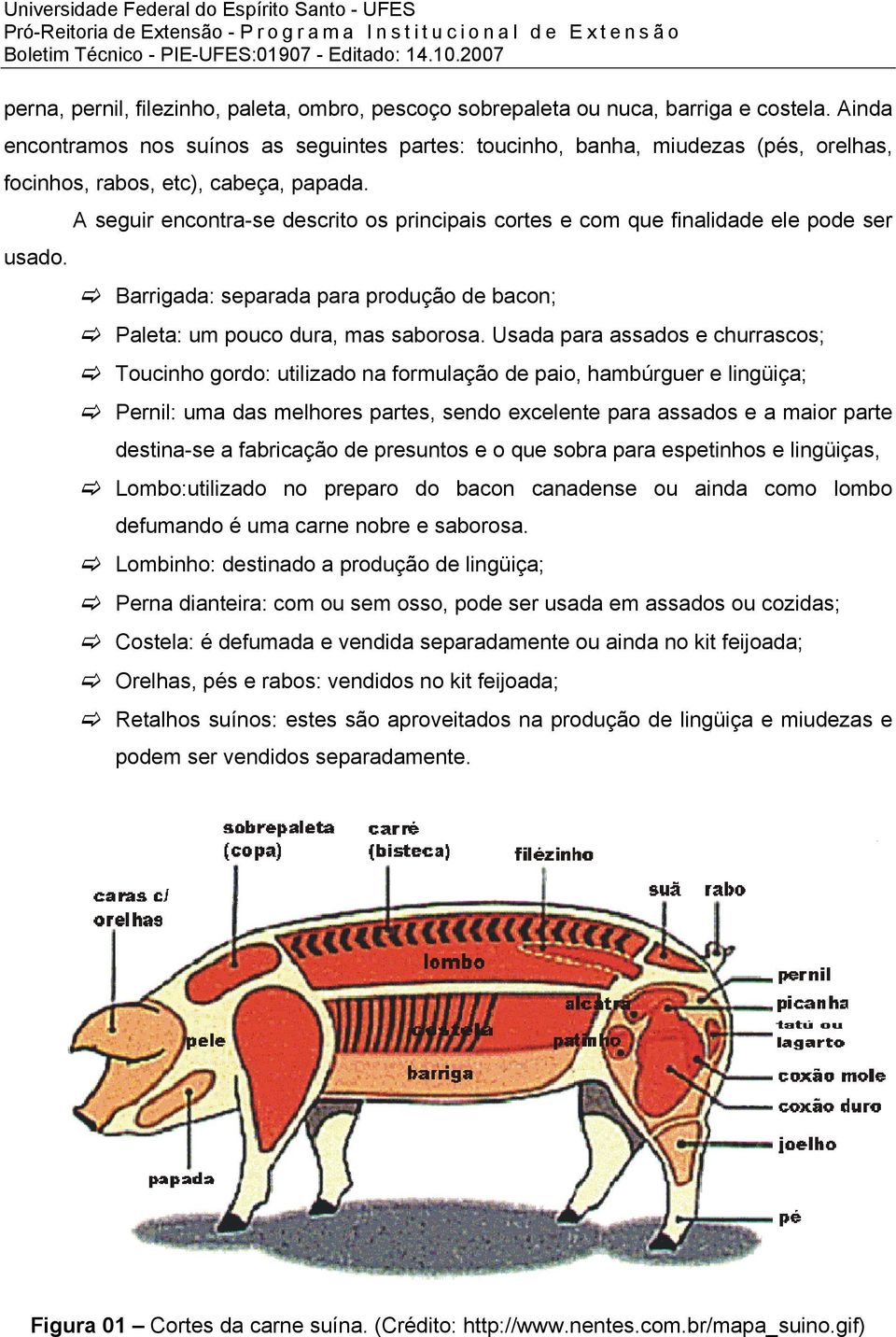 A seguir encontra-se descrito os principais cortes e com que finalidade ele pode ser usado. Barrigada: separada para produção de bacon; Paleta: um pouco dura, mas saborosa.