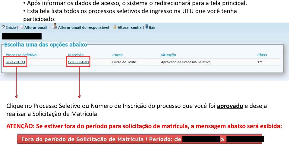 Clique no Processo Seletivo ou Número de Inscrição do processo que você foi aprovado e deseja