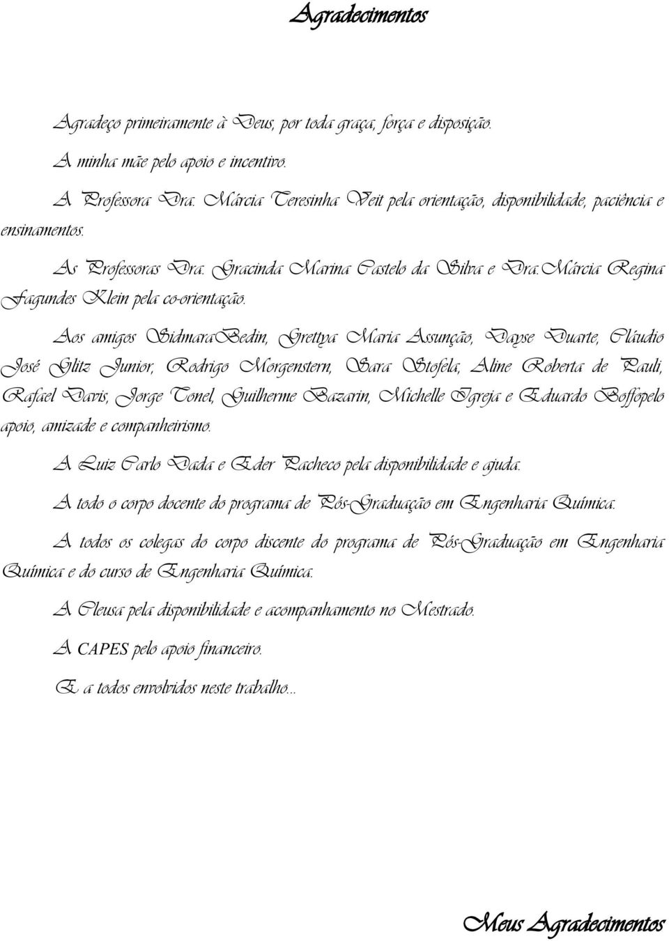 Aos amigos SidmaraBedin, Grettya Maria Assunção, Dayse Duarte, Cláudio José Glitz Junior, Rodrigo Morgenstern, Sara Stofela, Aline Roberta de Pauli, Rafael Davis, Jorge Tonel, Guilherme Bazarin,