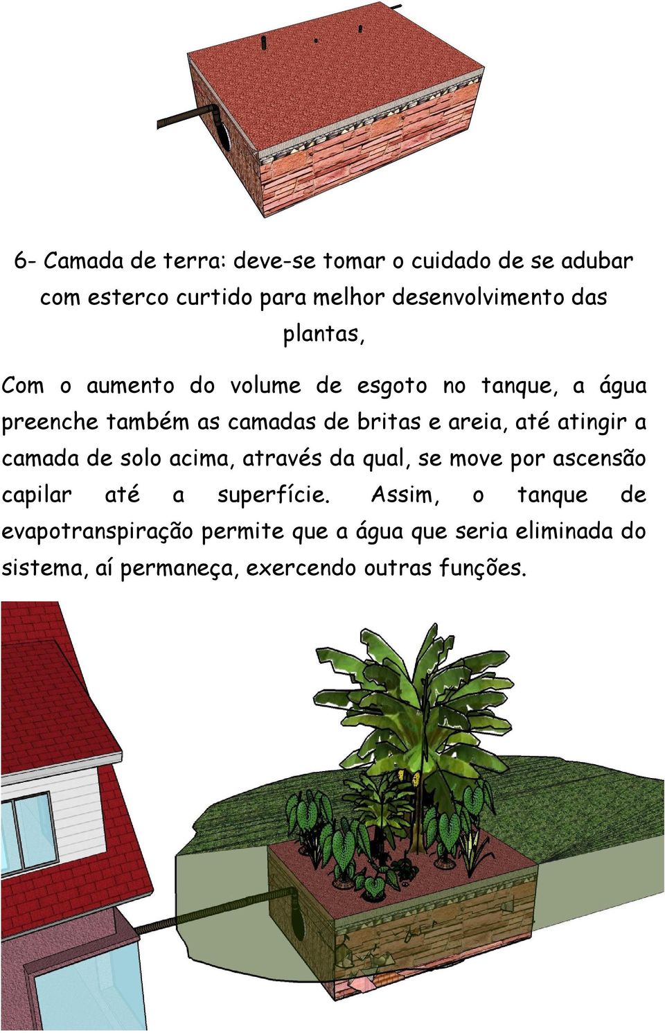 atingir a camada de solo acima, através da qual, se move por ascensão capilar até a superfície.