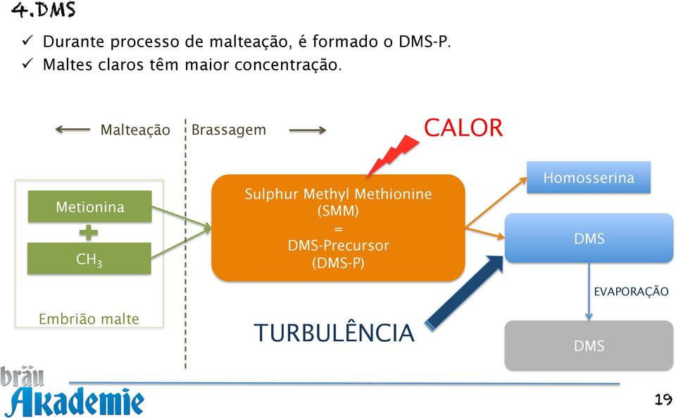 Malteação Brassagem CALOR Metionina CH 3 Embrião malte Sulphur