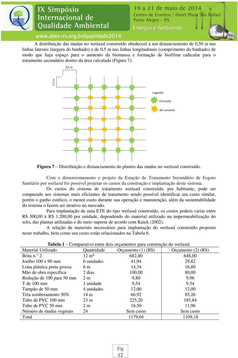 Figura 7 Distribuição e distanciamento do plantio das mudas no wetland construído.