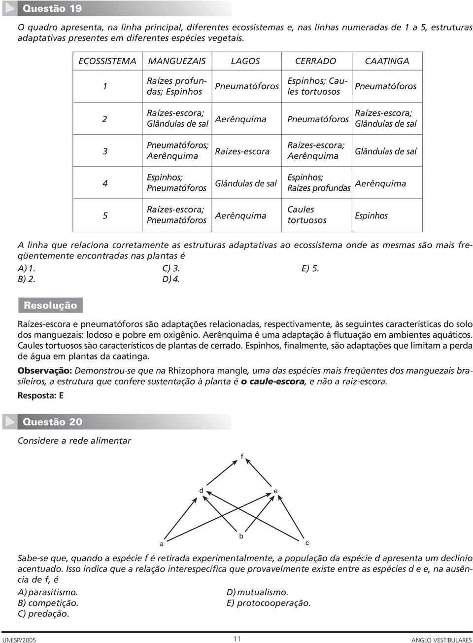 Raízes-escora; Glândulas de sal Pneumatóforos; Aerênquima Raízes-escora Raízes-escora; Aerênquima Glândulas de sal 4 Espinhos; Pneumatóforos Glândulas de sal Espinhos; Raízes profundas Aerênquima 5