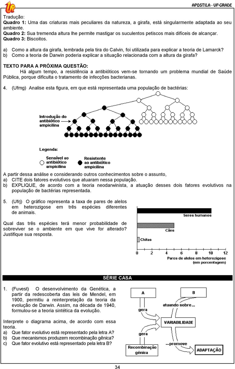 a) Como a altura da girafa, lembrada pela tira do Calvin, foi utilizada para explicar a teoria de Lamarck? b) Como a teoria de Darwin poderia explicar a situação relacionada com a altura da girafa?