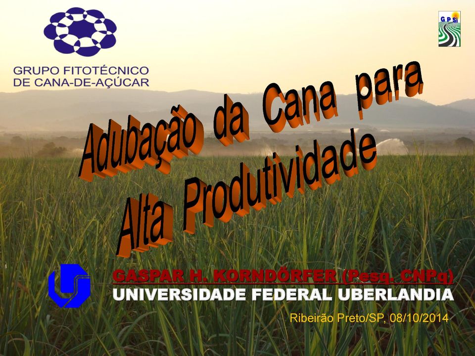 CNPq) UNIVERSIDADE