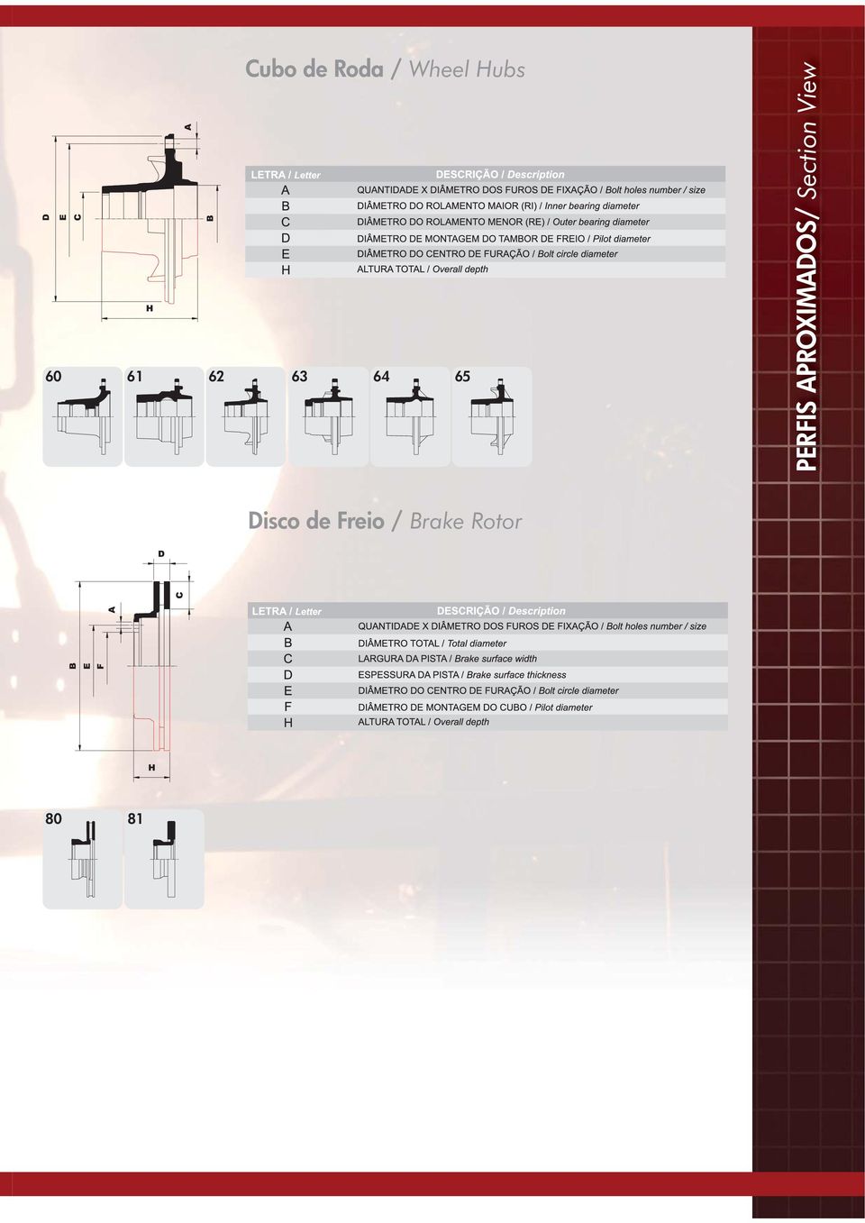 APROXIMADOS/ Section View