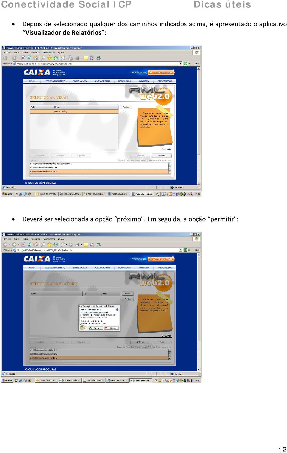 Visualizador de Relatórios : Deverá ser