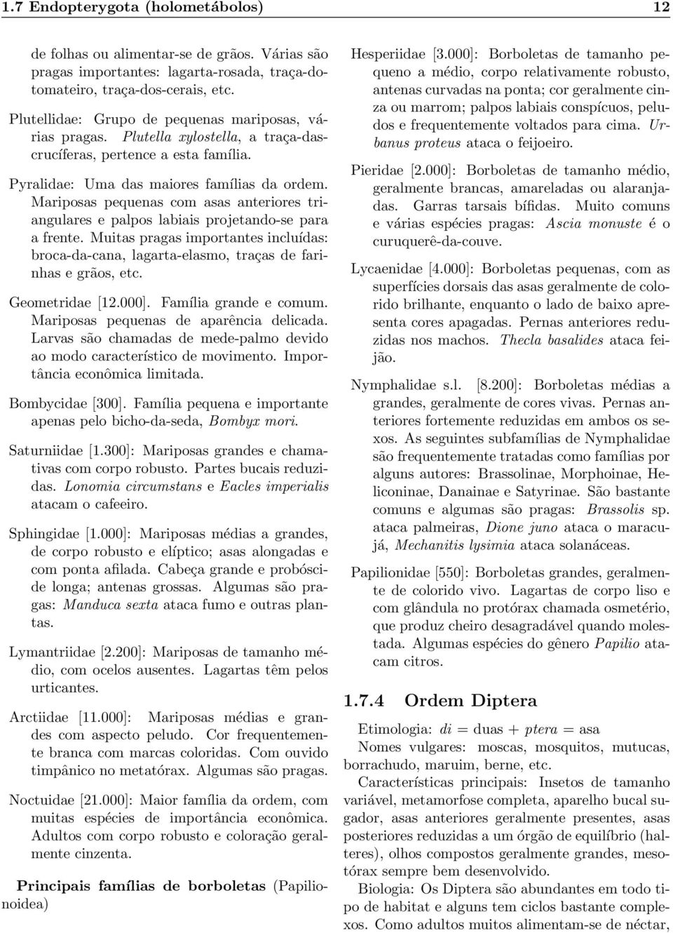 Mariposas pequenas com asas anteriores triangulares e palpos labiais projetando-se para a frente. Muitas pragas importantes incluídas: broca-da-cana, lagarta-elasmo, traças de farinhas e grãos, etc.