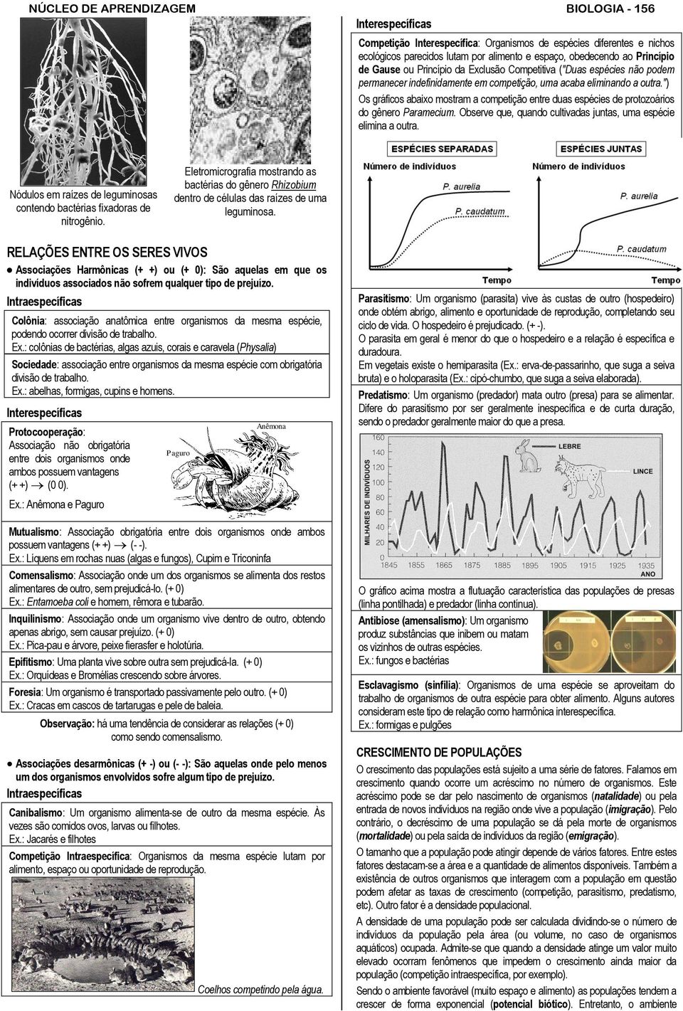 ") Os gráficos abaixo mostram a competição entre duas espécies de protozoários do gênero Paramecium. Observe que, quando cultivadas juntas, uma espécie elimina a outra.