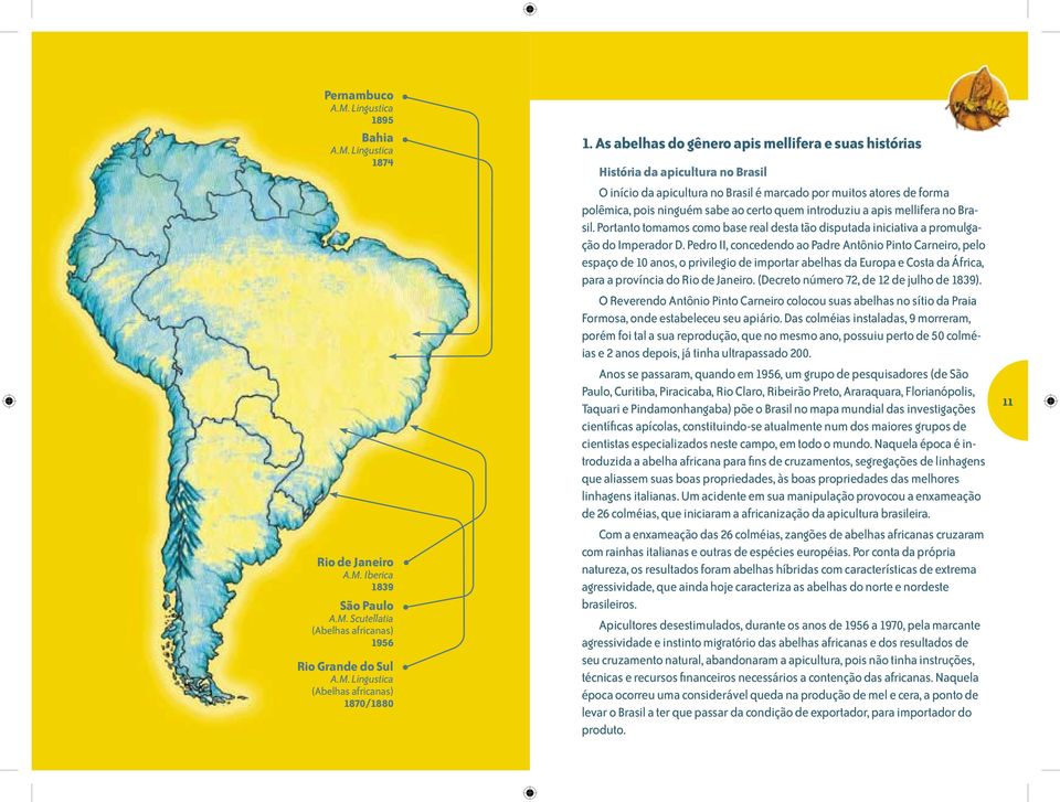 introduziu a apis mellifera no Brasil. Portanto tomamos como base real desta tão disputada iniciativa a promulgação do Imperador D.