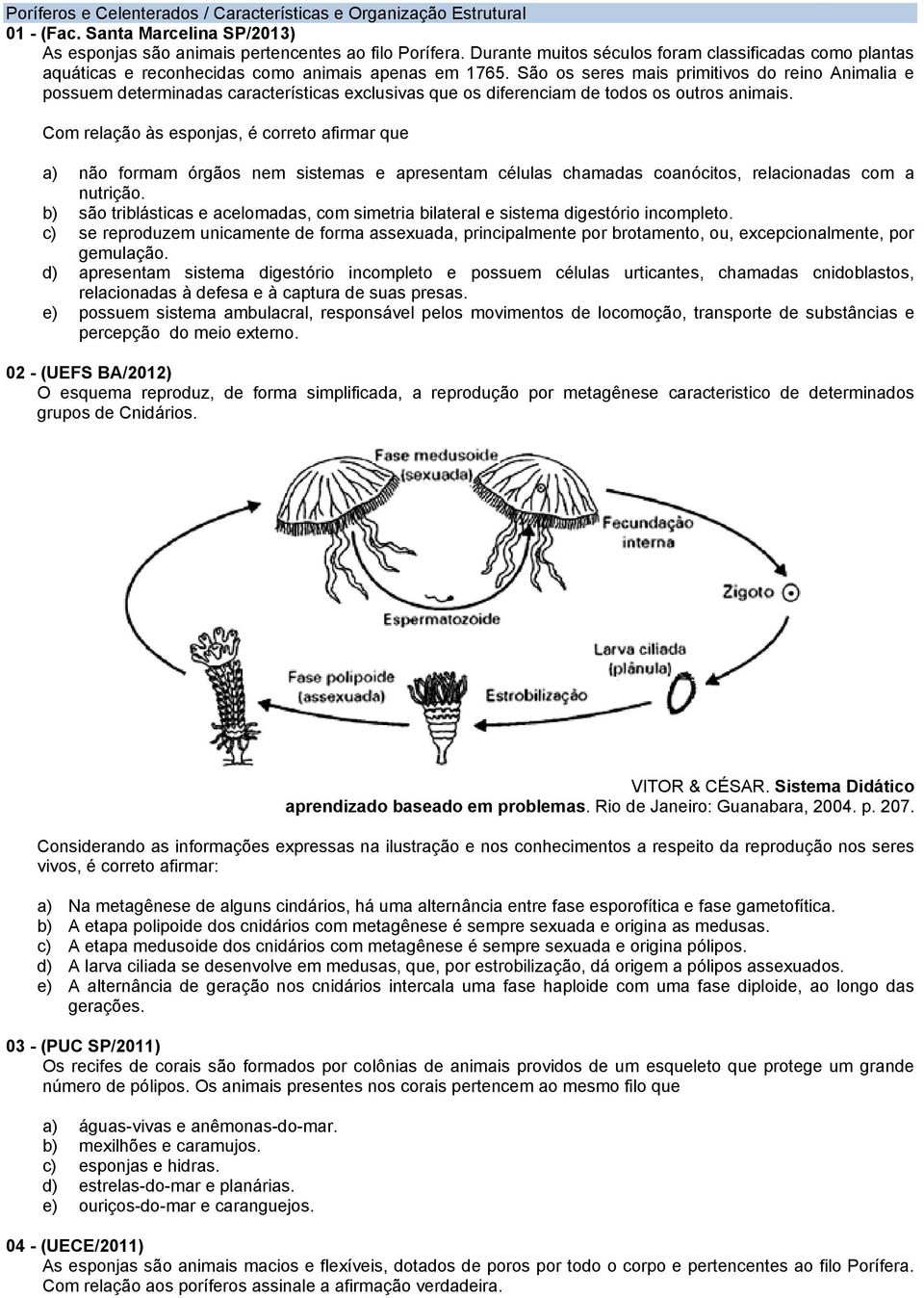 São os seres mais primitivos do reino Animalia e possuem determinadas características exclusivas que os diferenciam de todos os outros animais.