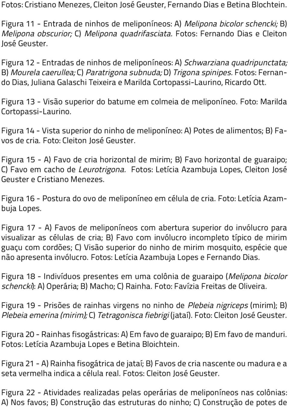 Figura 12 - Entradas de ninhos de meliponíneos: A) Schwarziana quadripunctata; B) Mourela caerullea; C) Paratrigona subnuda; D) Trigona spinipes.