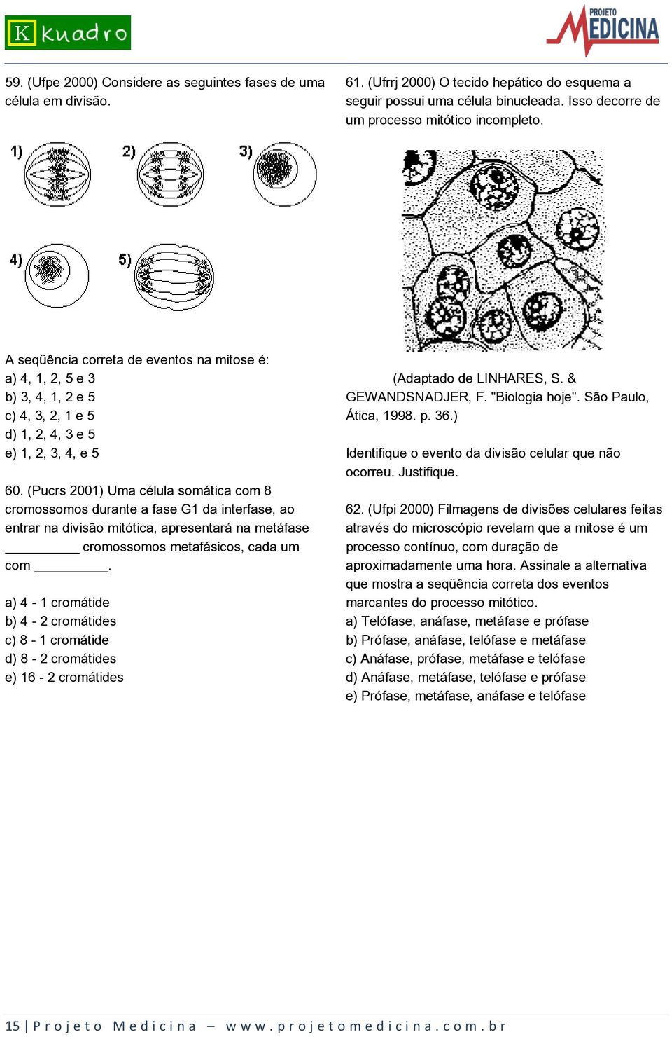 (Pucrs 2001) Uma célula somática com 8 cromossomos durante a fase G1 da interfase, ao entrar na divisão mitótica, apresentará na metáfase cromossomos metafásicos, cada um com.