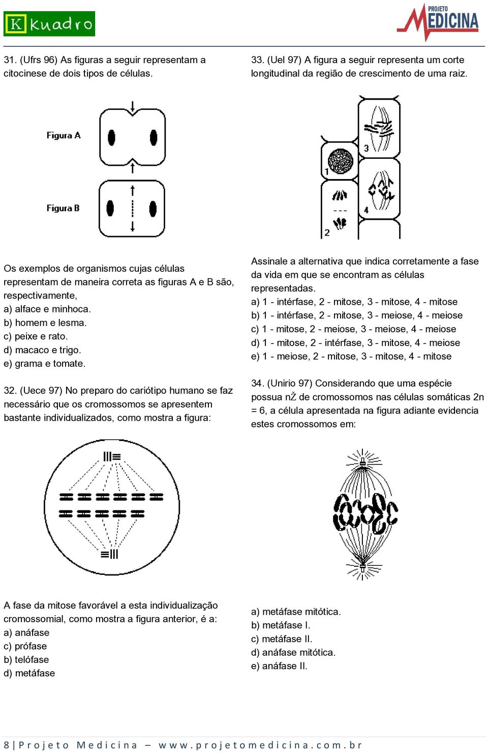 e) grama e tomate. 32.