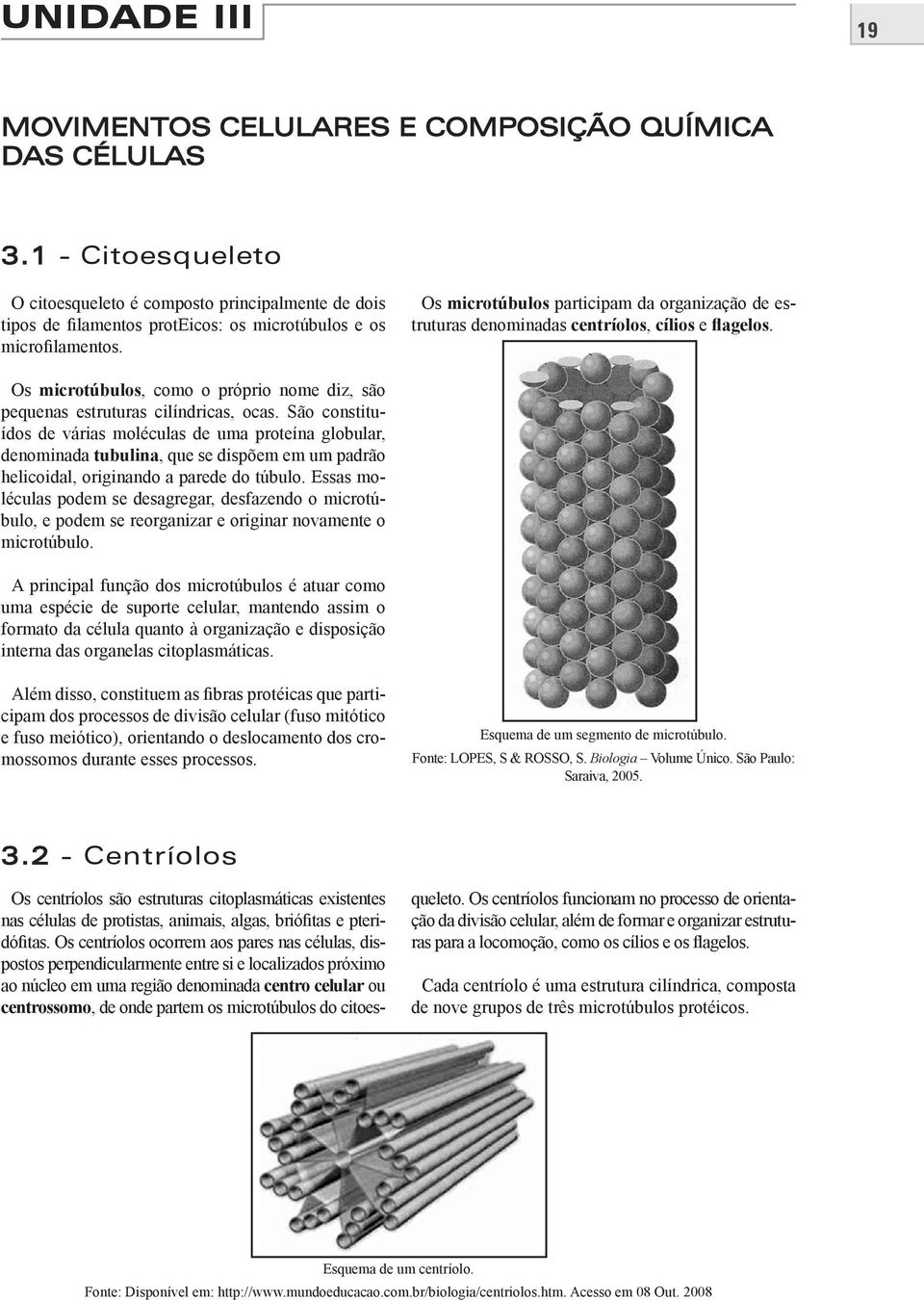 Os microtúbulos participam da organização de estruturas denominadas centríolos, cílios e flagelos. Os microtúbulos, como o próprio nome diz, são pequenas estruturas cilíndricas, ocas.