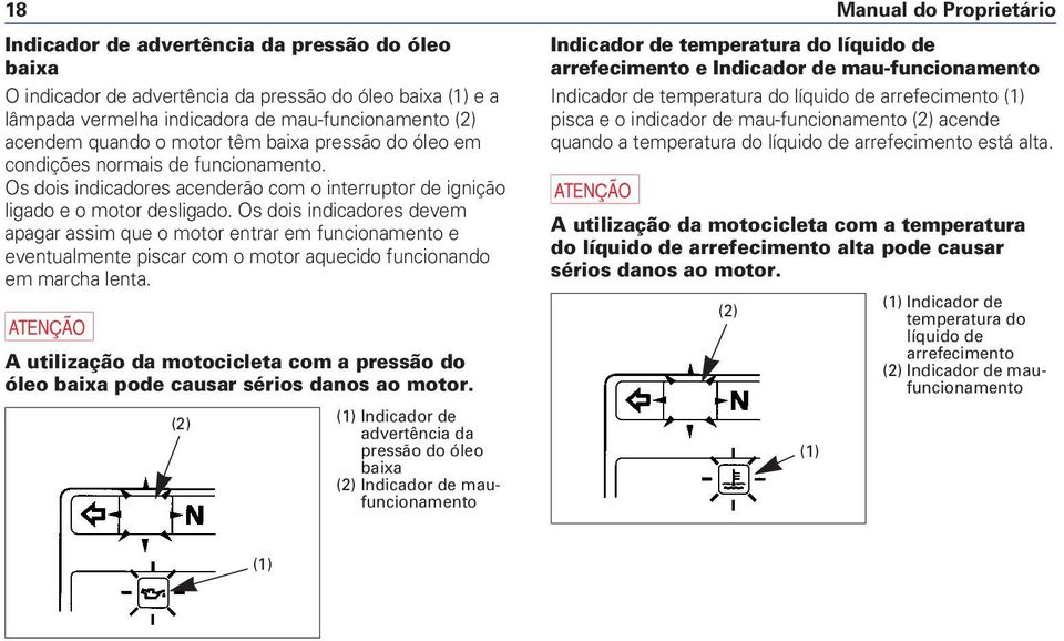 Os dois indicadores devem apagar assim que o motor entrar em funcionamento e eventualmente piscar com o motor aquecido funcionando em marcha lenta.