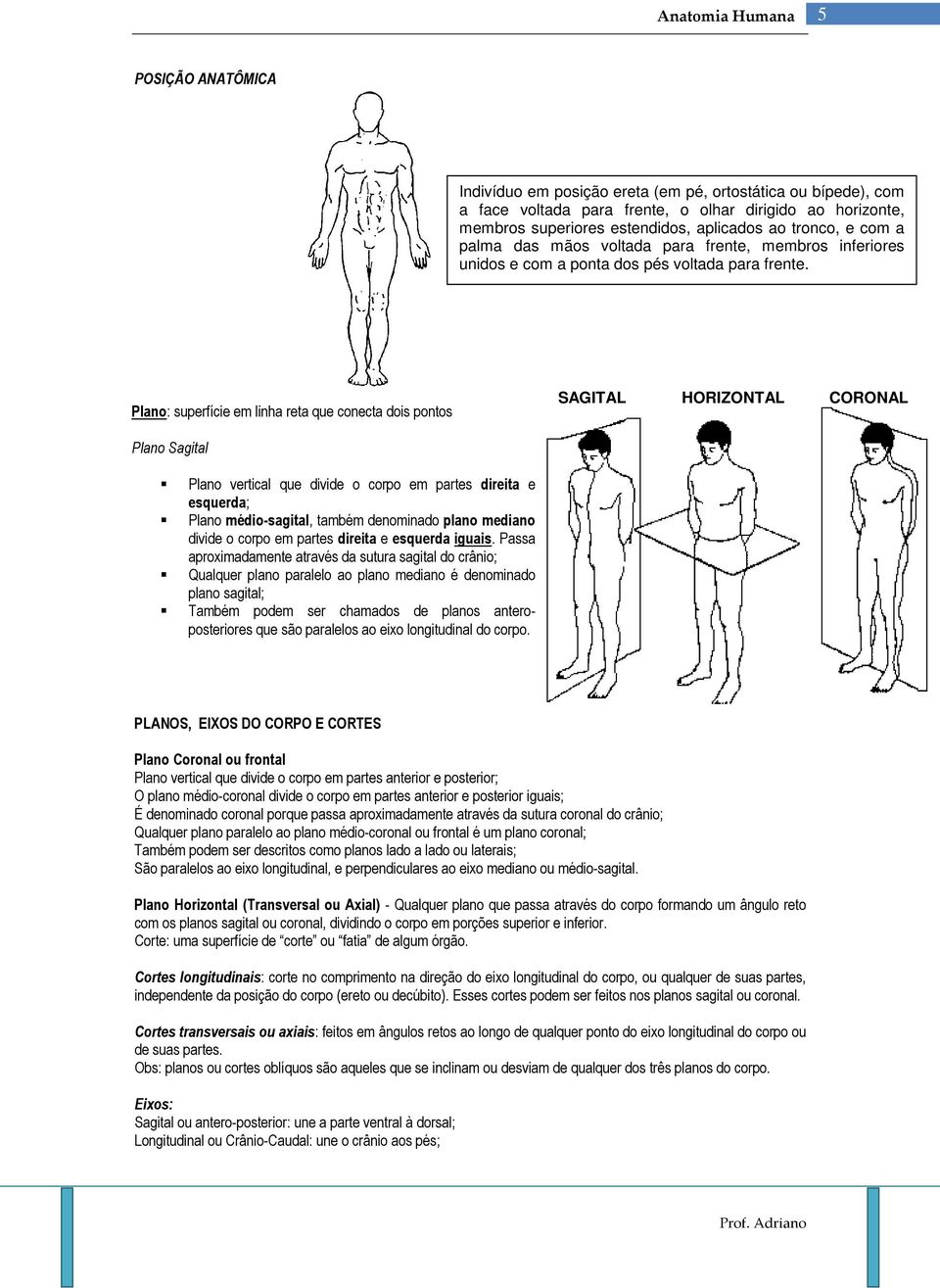Plano: superfície em linha reta que conecta dois pontos SAGITAL HORIZONTAL CORONAL Plano Sagital Plano vertical que divide o corpo em partes direita e esquerda; Plano médio-sagital, também denominado
