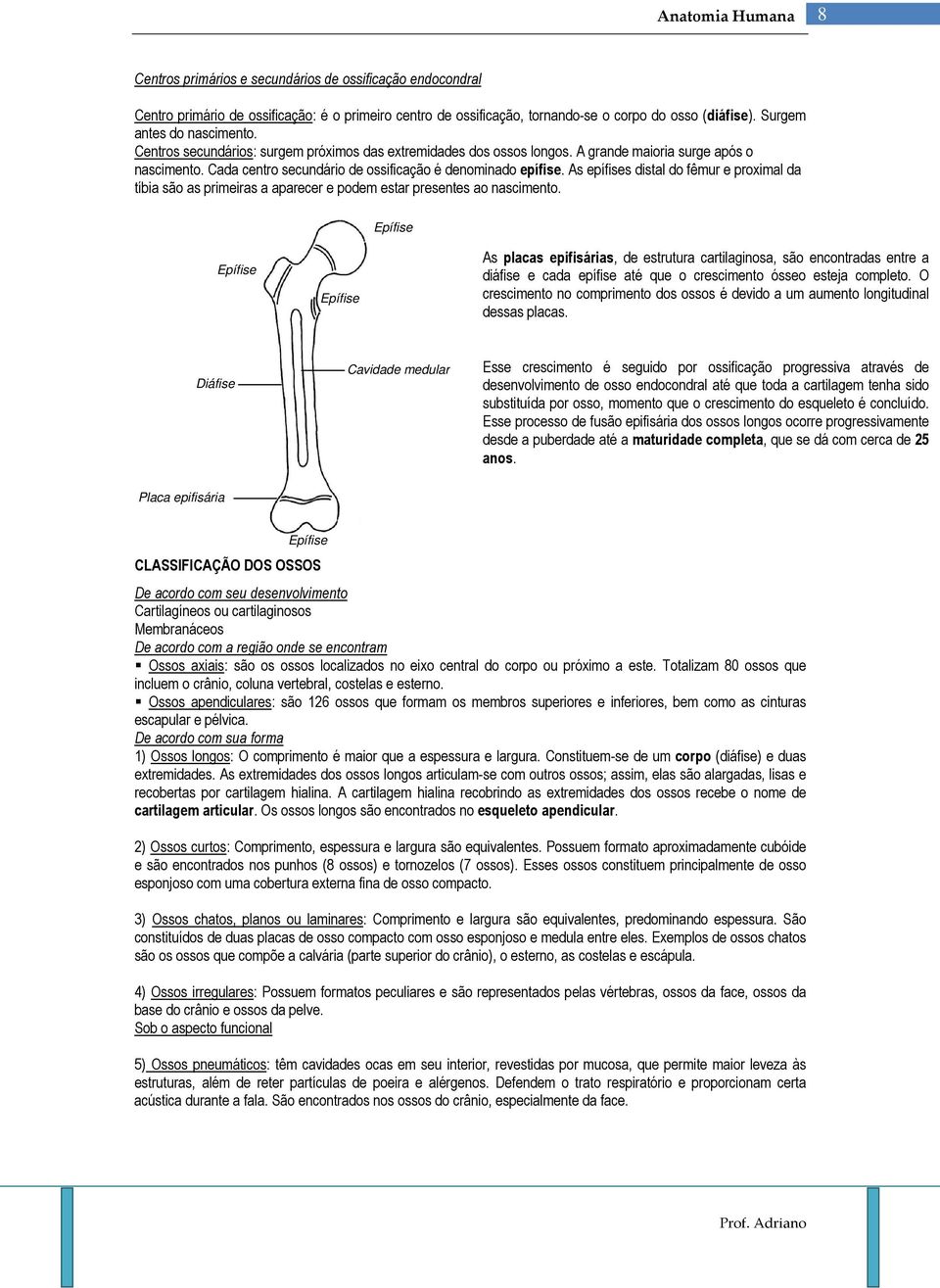 As epífises distal do fêmur e proximal da tíbia são as primeiras a aparecer e podem estar presentes ao nascimento.