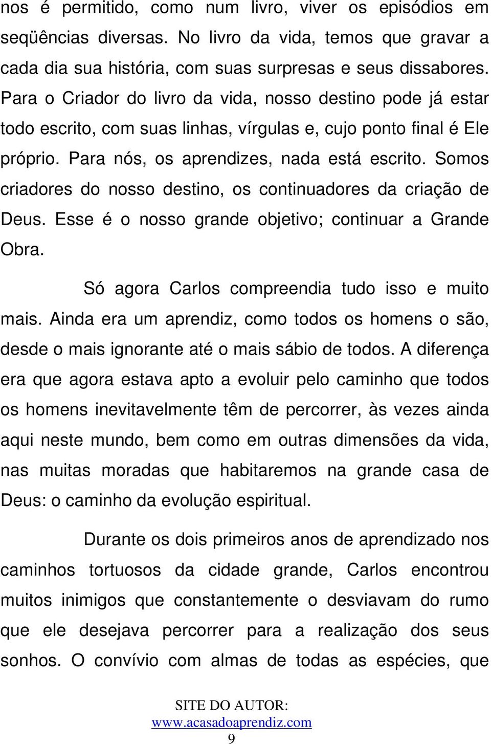 Somos criadores do nosso destino, os continuadores da criação de Deus. Esse é o nosso grande objetivo; continuar a Grande Obra. Só agora Carlos compreendia tudo isso e muito mais.