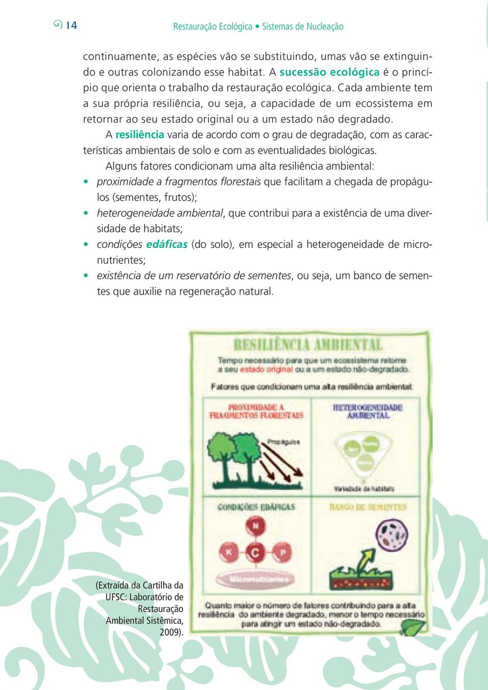 Cada ambiente tem a sua própria resiliência, ou seja, a capacidade de um ecossistema em retornar ao seu estado original ou a um estado não degradado.