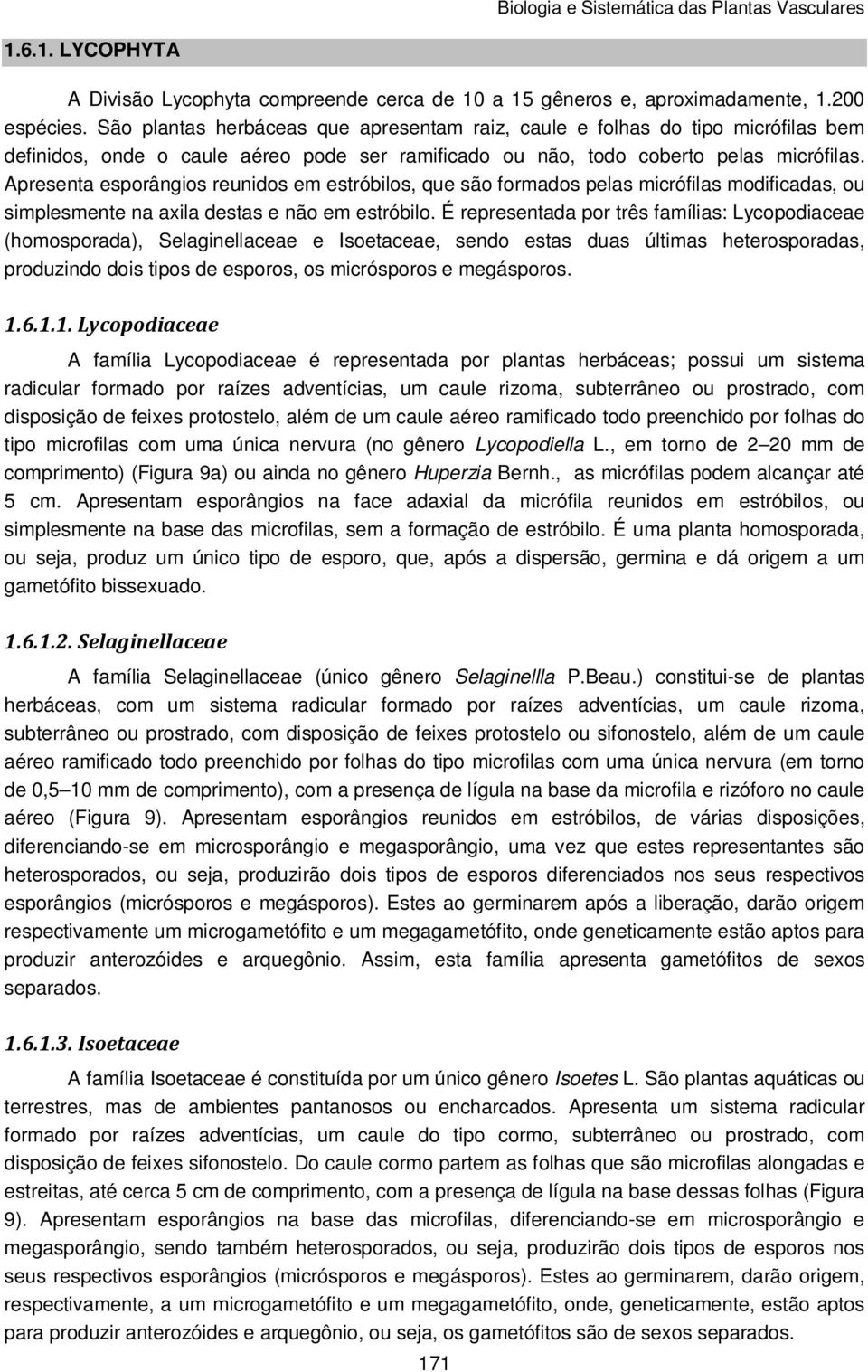 Apresenta esporângios reunidos em estróbilos, que são formados pelas micrófilas modificadas, ou simplesmente na axila destas e não em estróbilo.