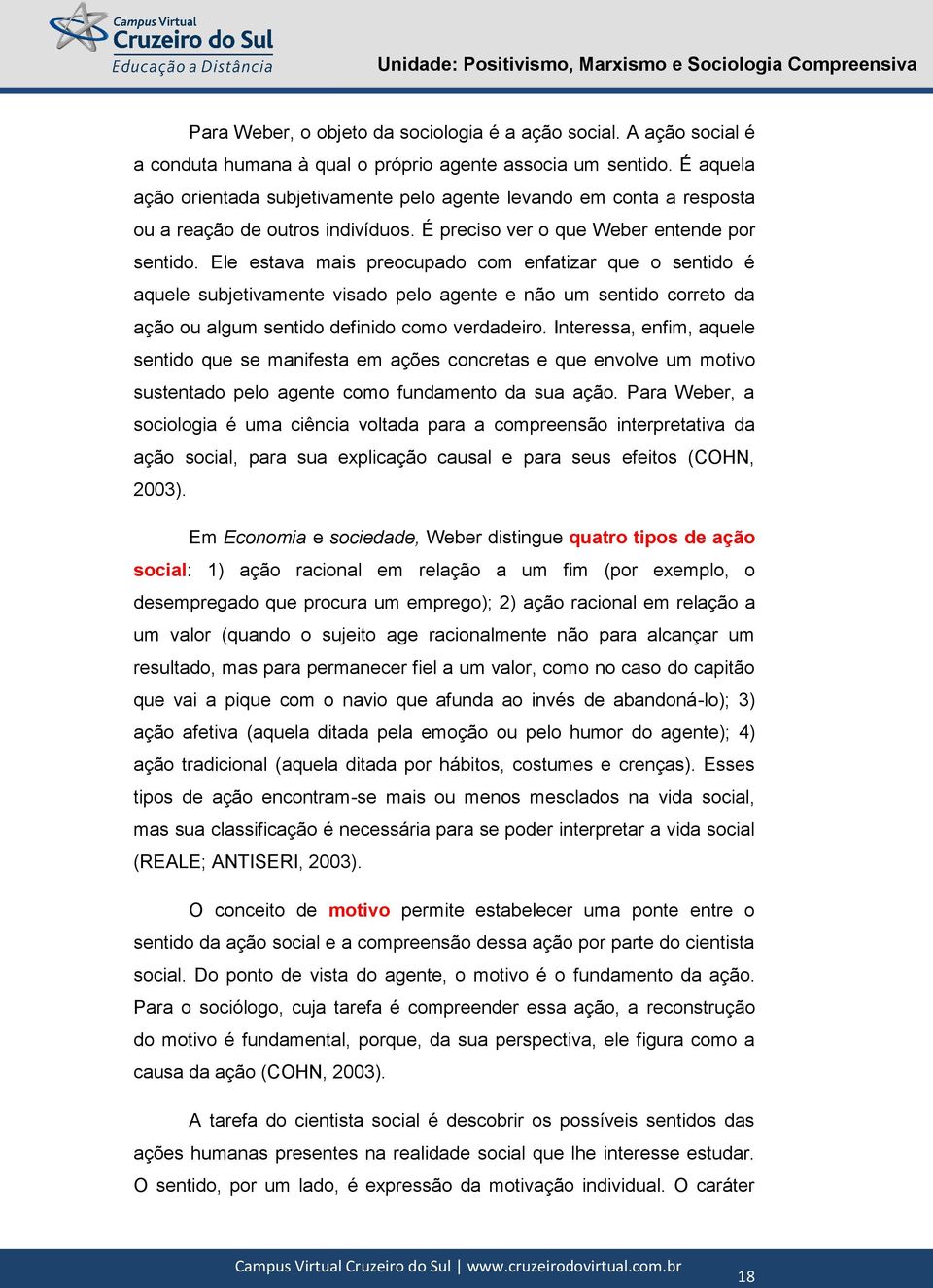 Ele estava mais preocupado com enfatizar que o sentido é aquele subjetivamente visado pelo agente e não um sentido correto da ação ou algum sentido definido como verdadeiro.