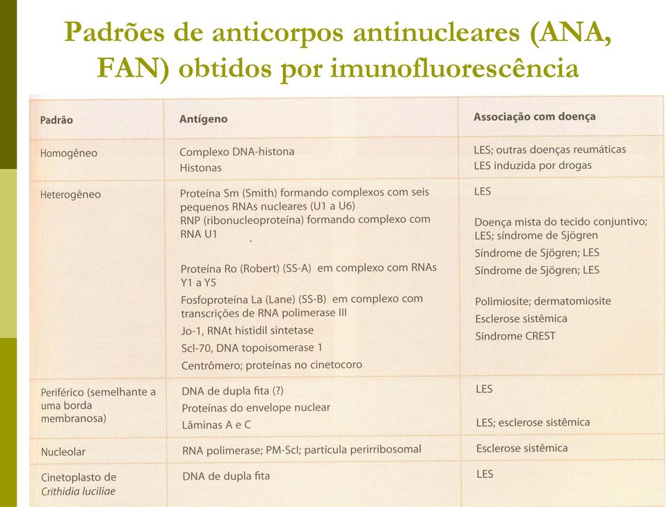 antinucleares (ANA,