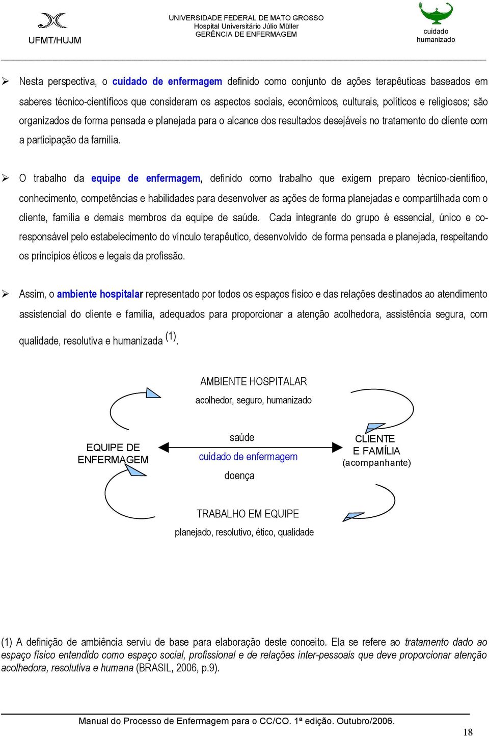 O trabalho da equipe de enfermagem, definido como trabalho que exigem preparo técnico-científico, conhecimento, competências e habilidades para desenvolver as ações de forma planejadas e