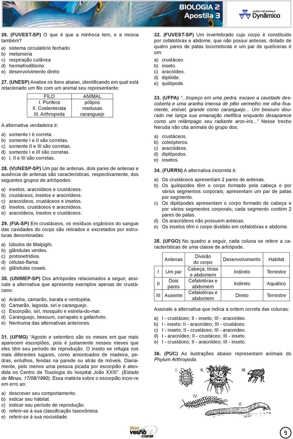 Arthropoda A alternativa verdadeira é: a) somente I é correta. b) somente I e II são corretas. c) somente II e III são corretas. d) somente I e III são corretas. e) I, II e III são corretas.