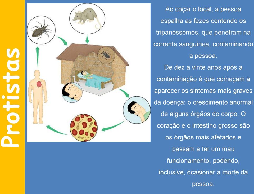 De dez a vinte anos após a contaminação é que começam a aparecer os sintomas mais graves da doença: o