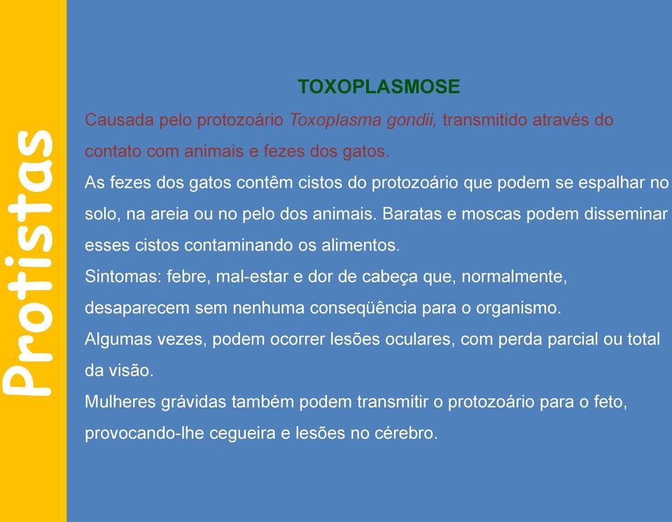 Baratas e moscas podem disseminar esses cistos contaminando os alimentos.