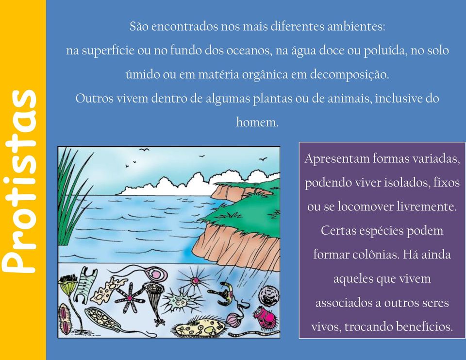 Outros vivem dentro de algumas plantas ou de animais, inclusive do homem.