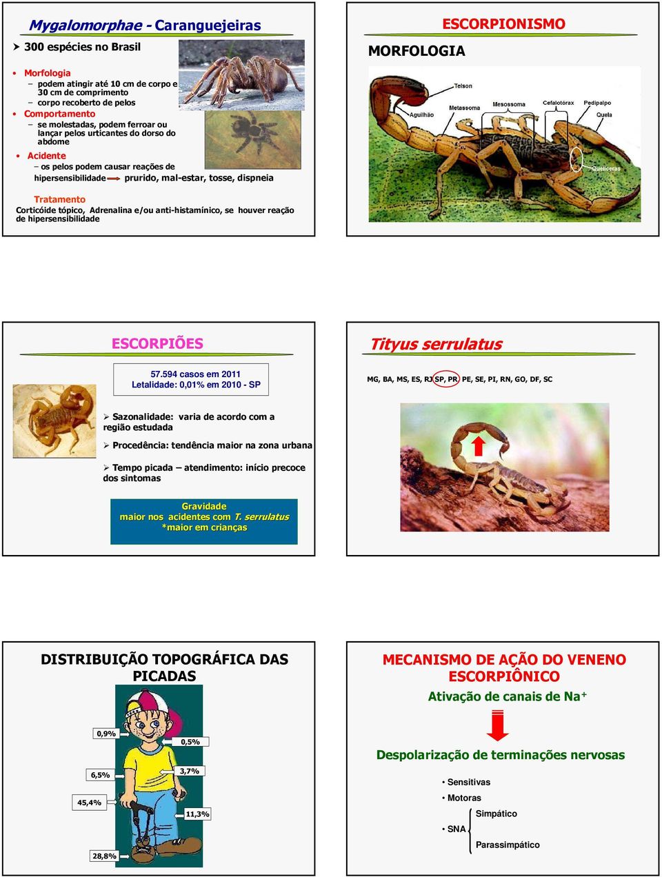 e/ou anti-histamínico, se houver reação de hipersensibilidade ESCORPIÕES 57.