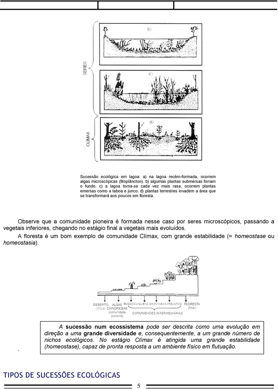 Observe que a comunidade pioneira é formada nesse caso por seres microscópicos, passando a vegetais inferiores, chegando no estágio final a vegetais mais evoluídos.