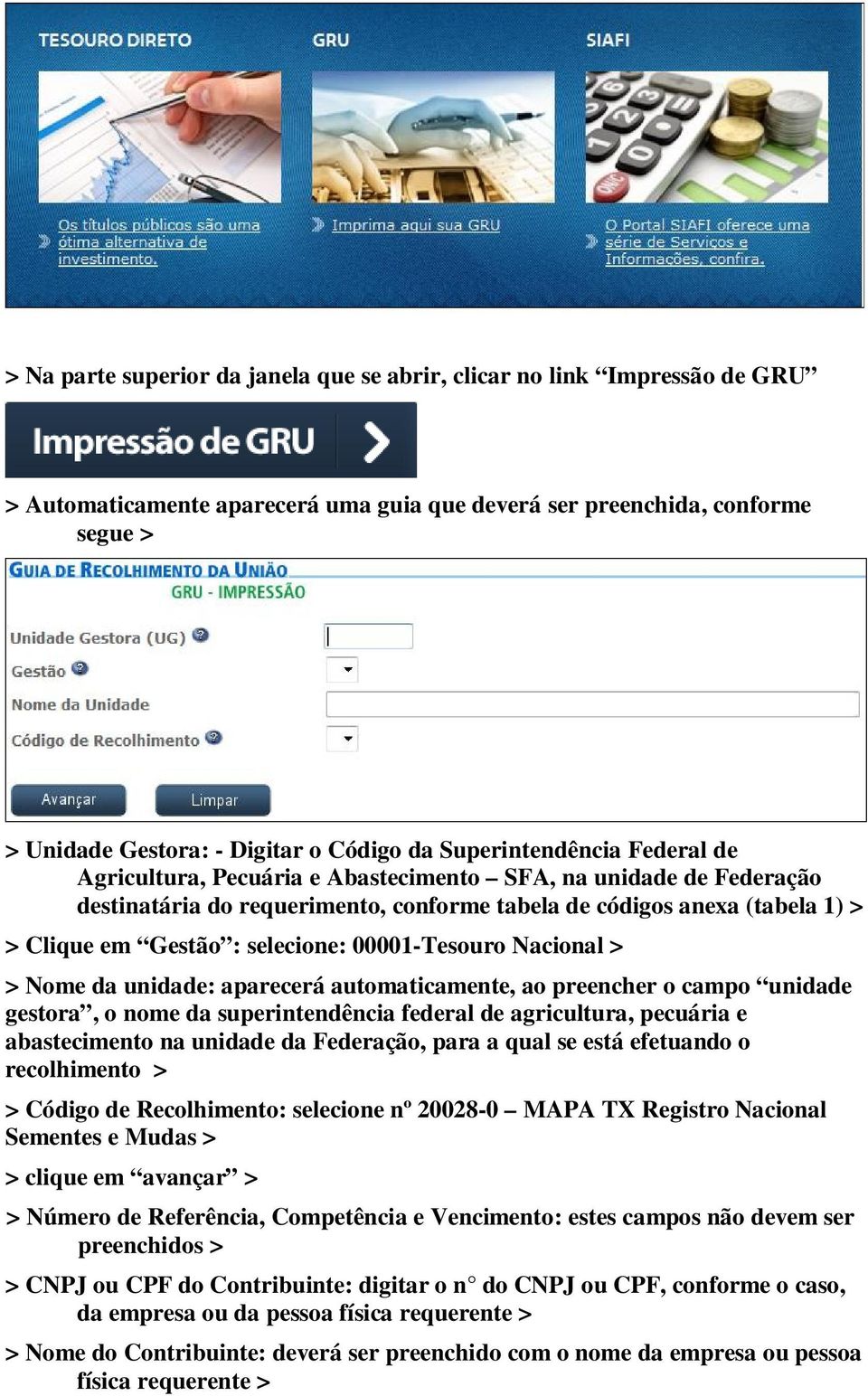 selecione: 00001-Tesouro Nacional > > Nome da unidade: aparecerá automaticamente, ao preencher o campo unidade gestora, o nome da superintendência federal de agricultura, pecuária e abastecimento na