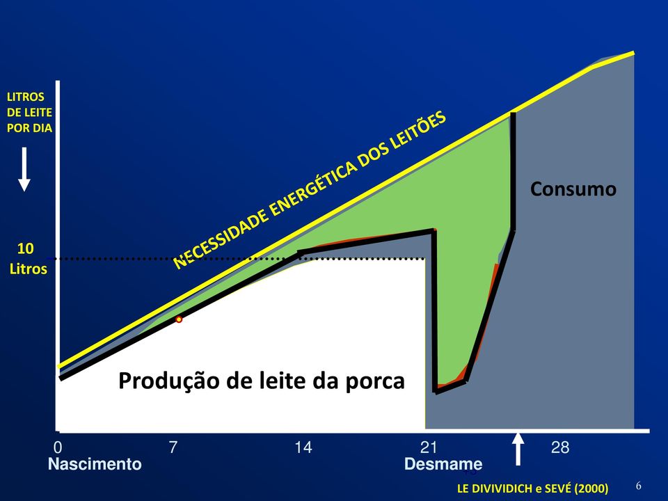 28 Nascimento Desmame +3 LE